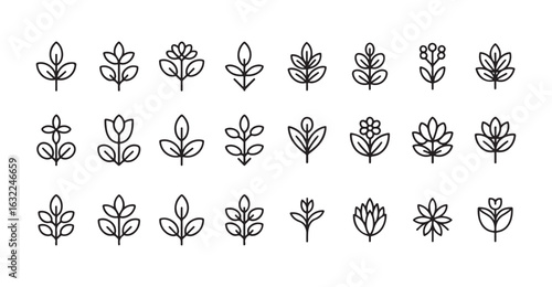 Set of plant outline icons. Plant icon. Leaf symbol. Vector illustration eps 10