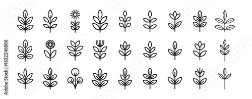 Set of plant outline icons. Plant icon. Leaf symbol. Vector illustration eps 10
