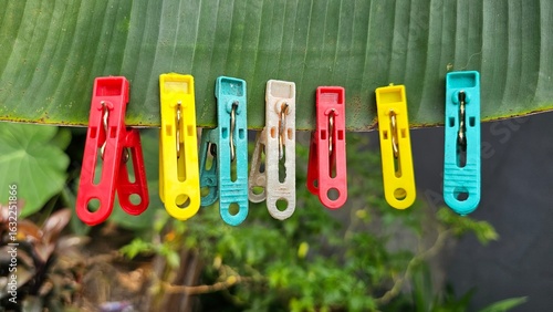 фотографія Colorful plastic clothes pin clipped to a green banana leaf