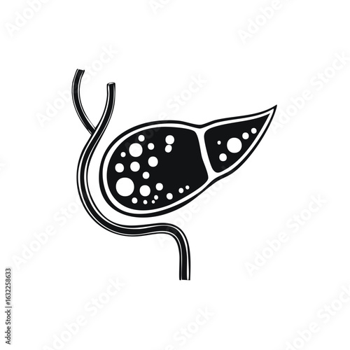 Illustrated Black and White Human Pancreas with Ducts Diagram Medical Anatomy