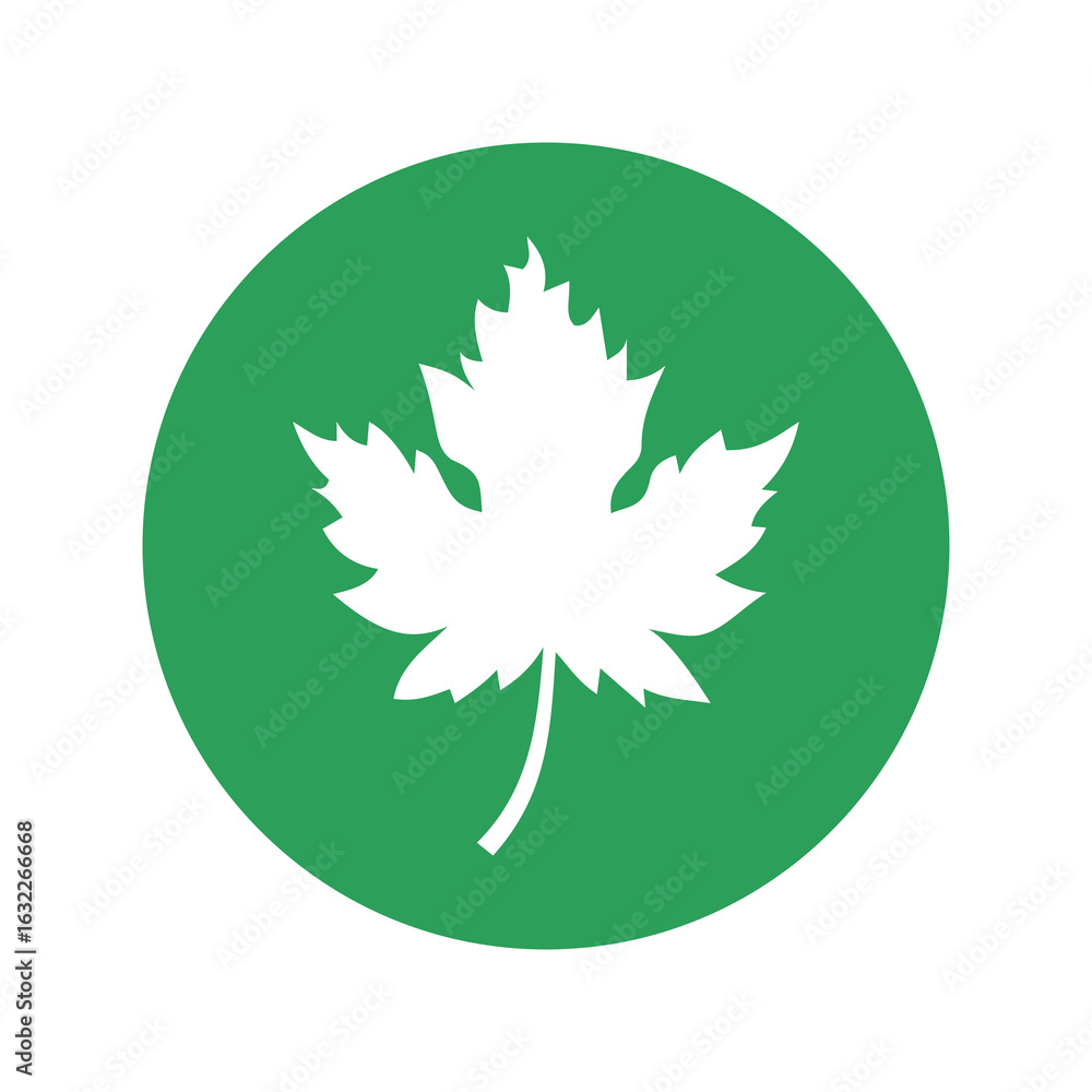 Obraz premium Maple leaf icon isolated on transparent background