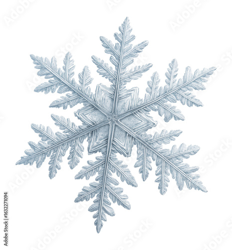 Detailed and intricate single snowflake with delicate patterns on transparent background.