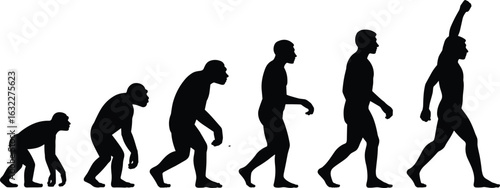 Human evolution silhouette from ape to modern man with raised fist, biology timeline concept, progress, development, empowerment symbol