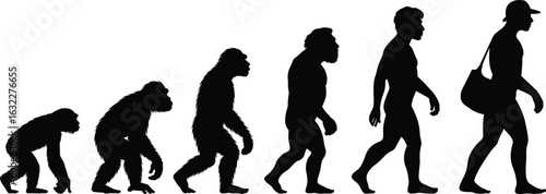 Evolution of man silhouette, walking stages from ape to modern human, development, biology, anthropology, Darwin theory concept