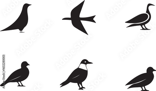 Assorted bird silhouette vector icons