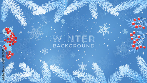 Winter background with snowflakes, realistic fir branches, red rowan berries and viburnum. Vector illustration. Not AI-generated.