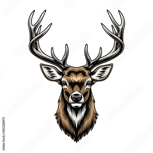 head of a deer