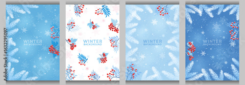 Set of 4 winter backgrounds with fir branches, red berries and snowflakes. Template design for greeting card, cover, social media post. Vector illustration. Not AI generated.