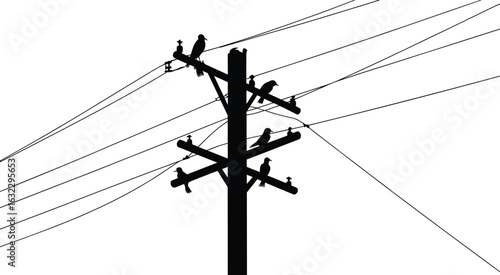 Silhouette utility pole with birds on power lines, black electric pole vector, wildlife perched on cable wires, rural energy structure