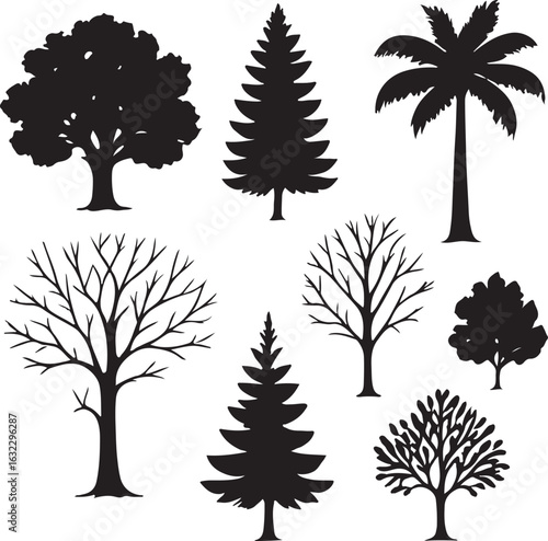 Silhouette Collection of Various Tree Types Including Deciduous Coniferous and Palm Trees