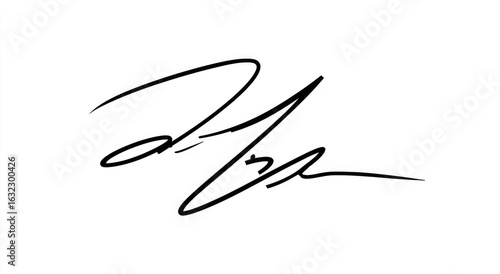 Abstract signature, stylized script, bold lines.  A dynamic, flowing, black signature on a white background