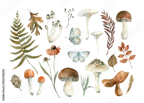 Autumn set of watercolor illustrations with forest plants. Hand drawn fern, leaves, branches, mushrooms, butterflies and flowers. Objects for design isolated on white background