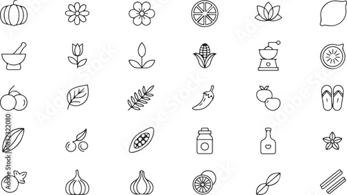 Collection of Various Outline Icons Featuring Food Nature and Leisure Representing Diversity and Simplicity for Creative Projects