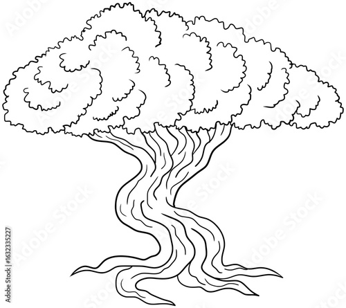 Divi Divi Tree Vector Outline Line Art Drawing