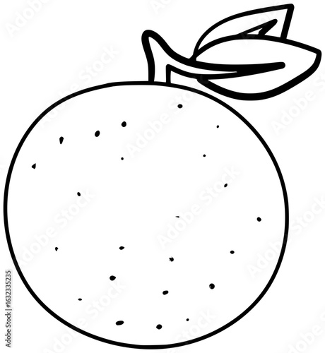 Curacao Orange Vector Outline Line Art Drawing