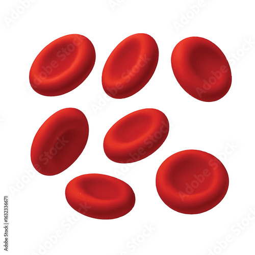 red blood cells