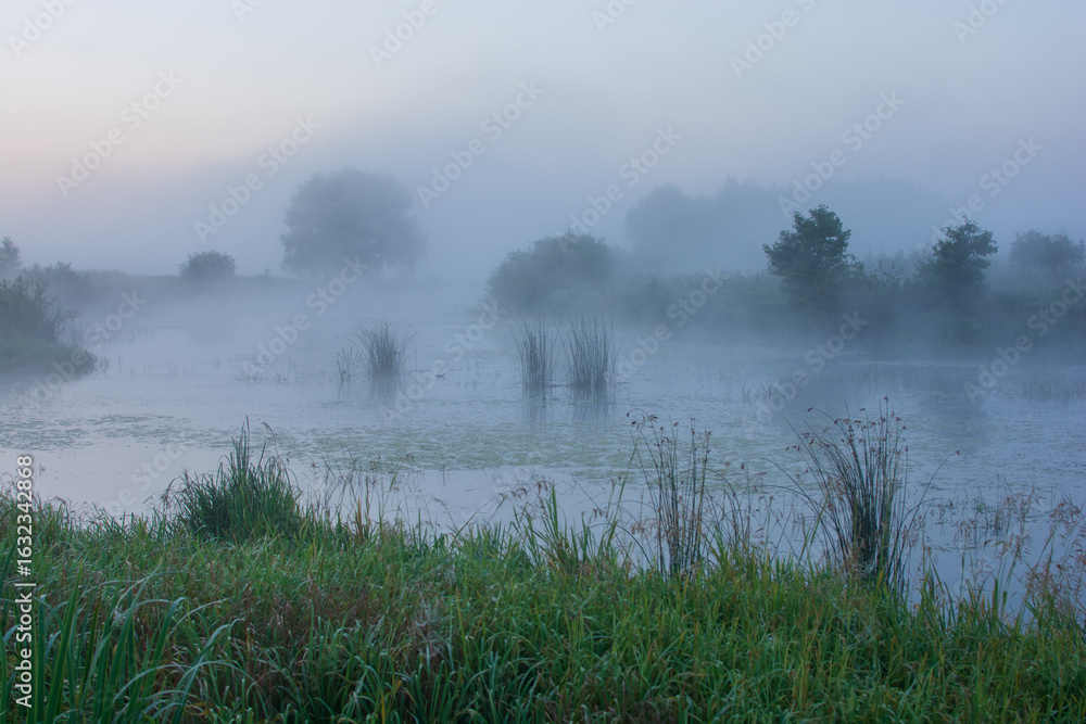 Fototapeta premium misty morning on the river with reed and grass