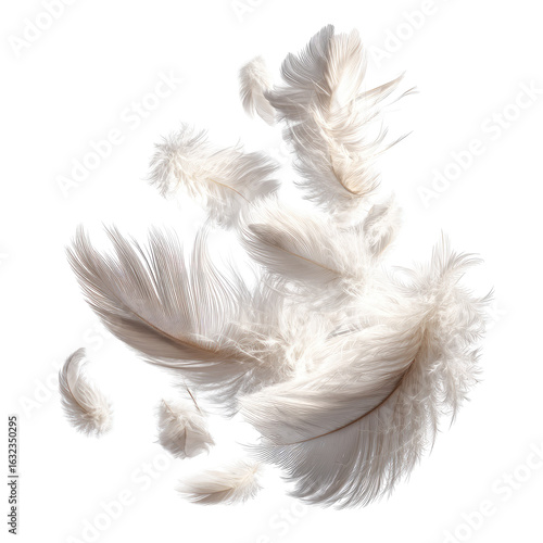 A cluster of delicate, white feathers, loosely arranged in a dynamic, abstract shape against a plain black background.  Feathers are various sizes and forms, some slightly overlapping