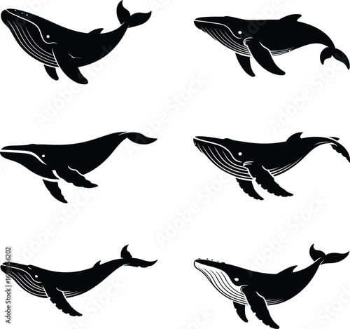 Six black silhouette whale icons in various swimming poses whales
