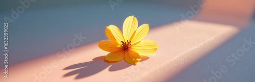 delicate pressed yellow flower sits atop soft pink blue fabric petals slightly askew bathed warm diffused sunlight