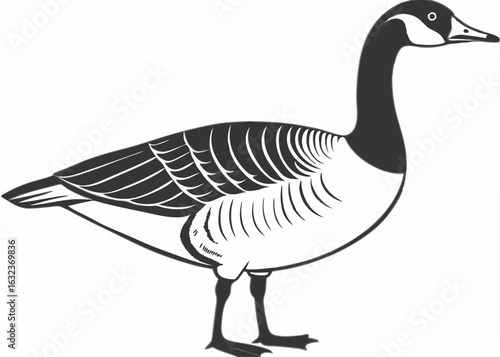 Black and White Goose Illustration, Hand Drawn Farm Bird Line Art Vector