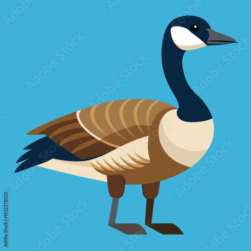 cute hand drawn geese. Set of cute farm gooses in different poses vector collection.