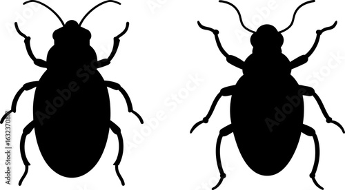 Ladybug black silhouettes set, Set of ladybugs, ladybug collections, Vector of ladybugs, ladybug silhouette, ladybug isolated on white background