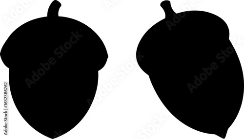 Acorn black silhouettes set, Set of acorns, acorn collections, Vector of acorn, acorn silhouette, acorn isolated on white background
