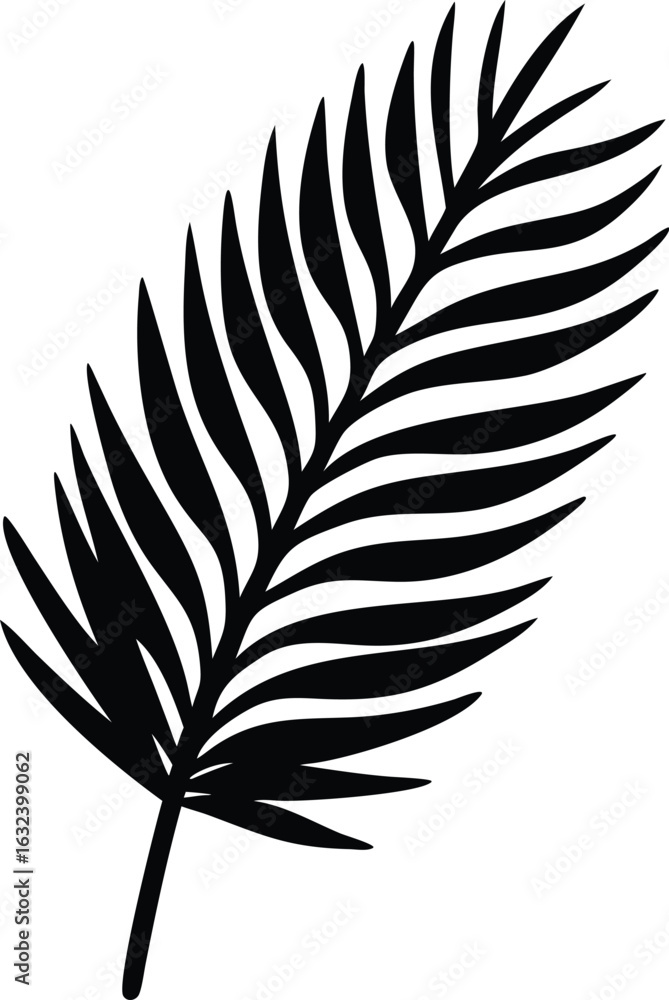 Fototapeta premium a palm tree leaf silhouette vector