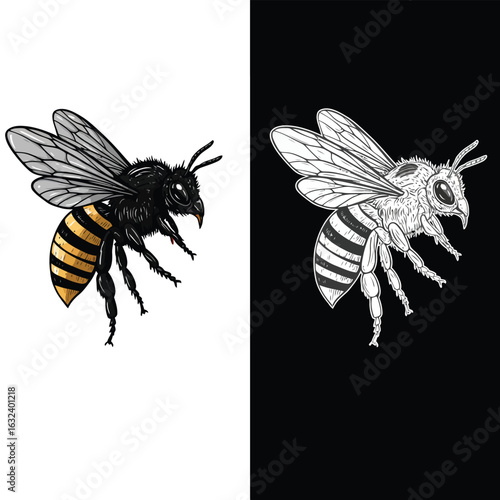 Bee Flying with Color and Outline Versions insect wings