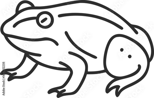 african bullfrog line arts with white background