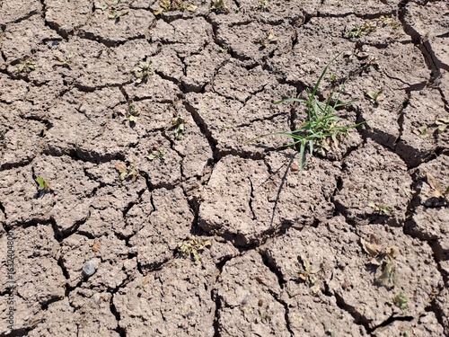 dry soil background