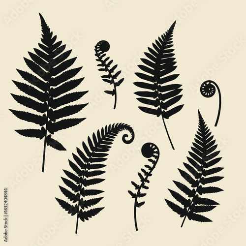 Black silhouettes of fern fronds and fiddleheads on a light beige background