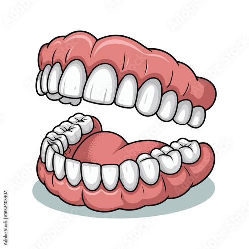 teeth 