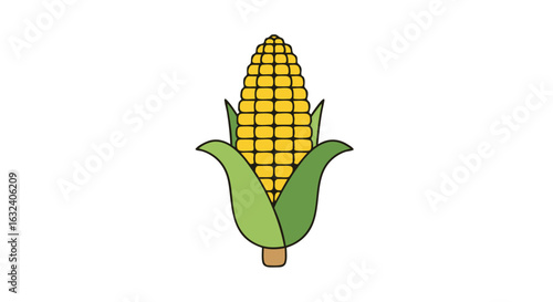 Vibrant and fresh corn cob vector illustration perfect for culinary projects and creative designs