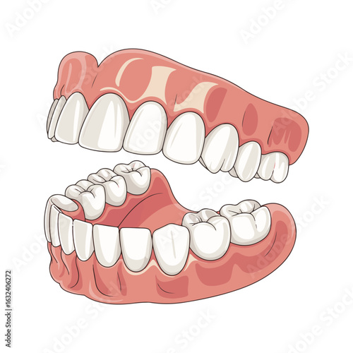 teeth and dental tools
