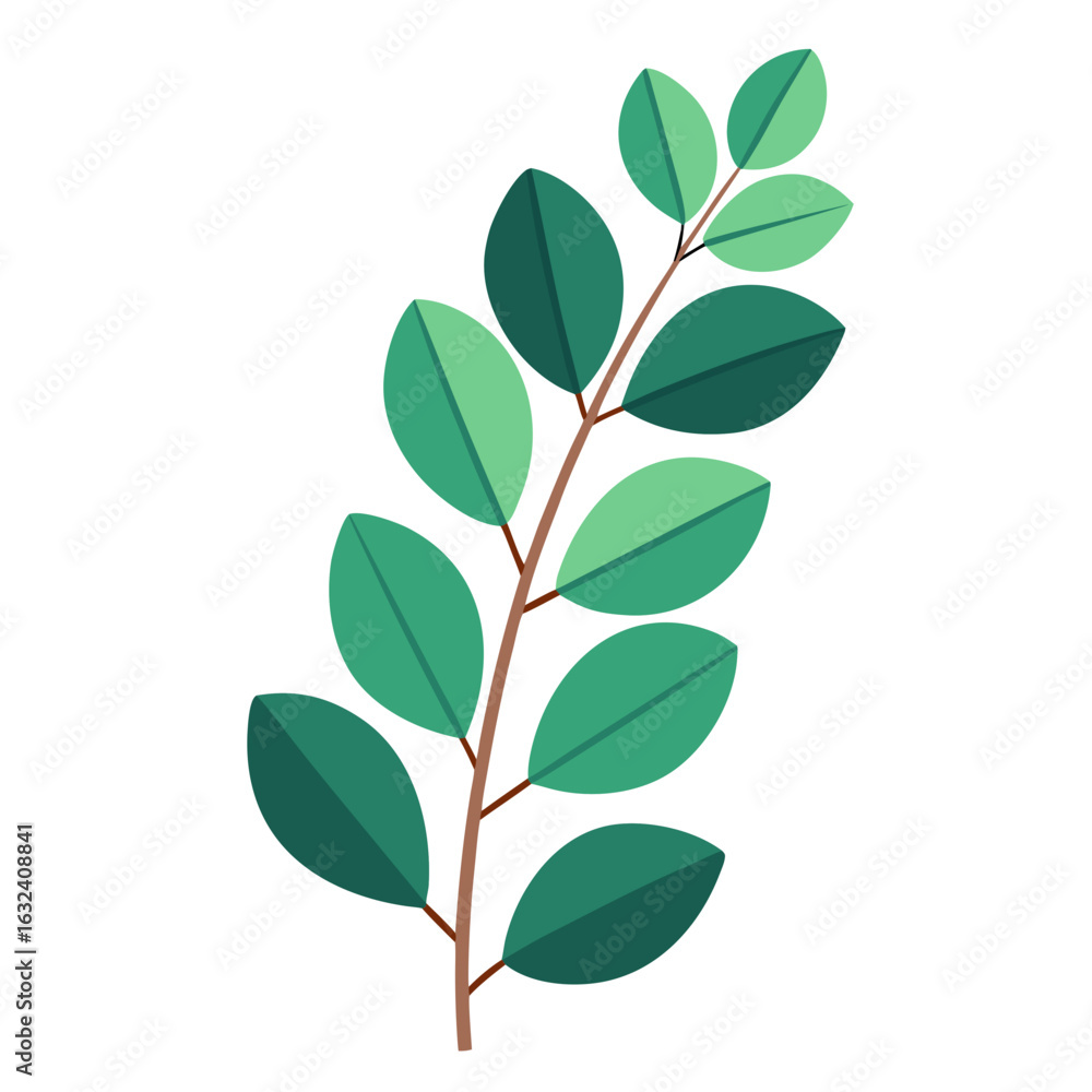 Fototapeta premium green leaf isolated on white background