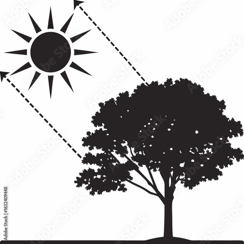 Tree silhouette absorbing sunlight transparent graphic