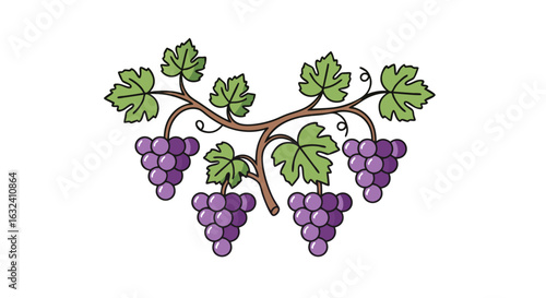 Delightful grape vine illustration showcases clusters of ripe grapes and verdant leaves creating a charming and inviting visual composition