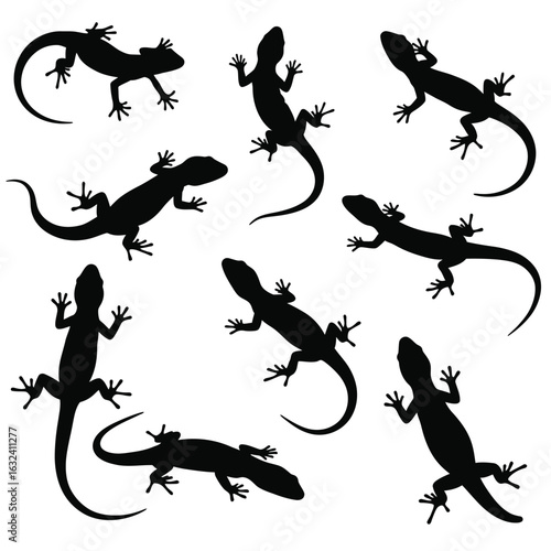 Silhouette collection of geckos in various poses lizard