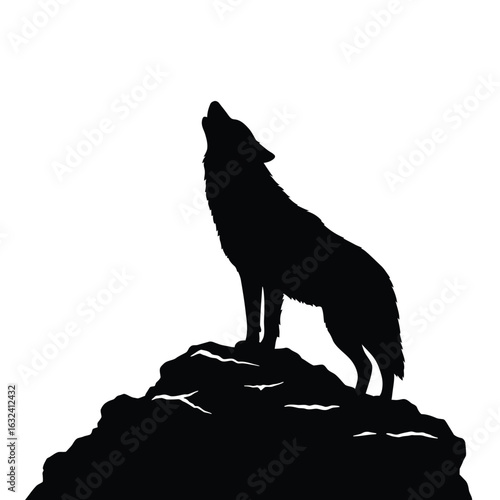 Silhouette of a wolf howling on a rock animal wild