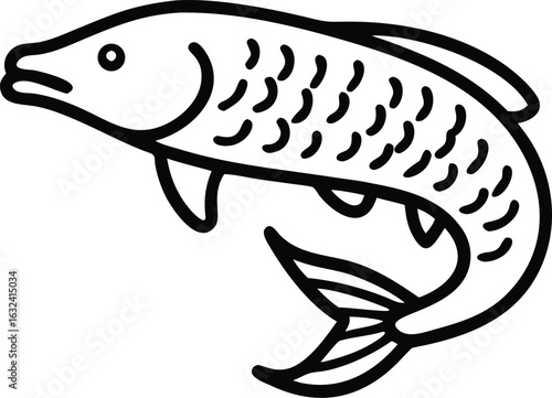 arapaima  line arts with white background