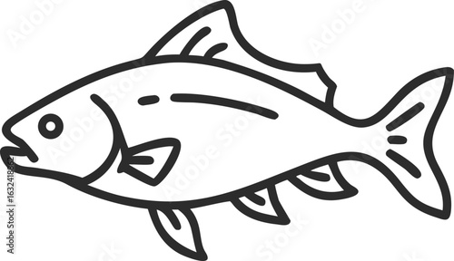 asian carp line arts with white background 