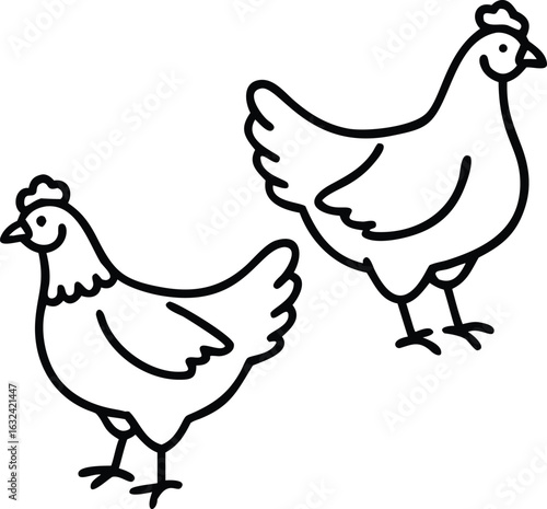 australorp chicken  line arts 