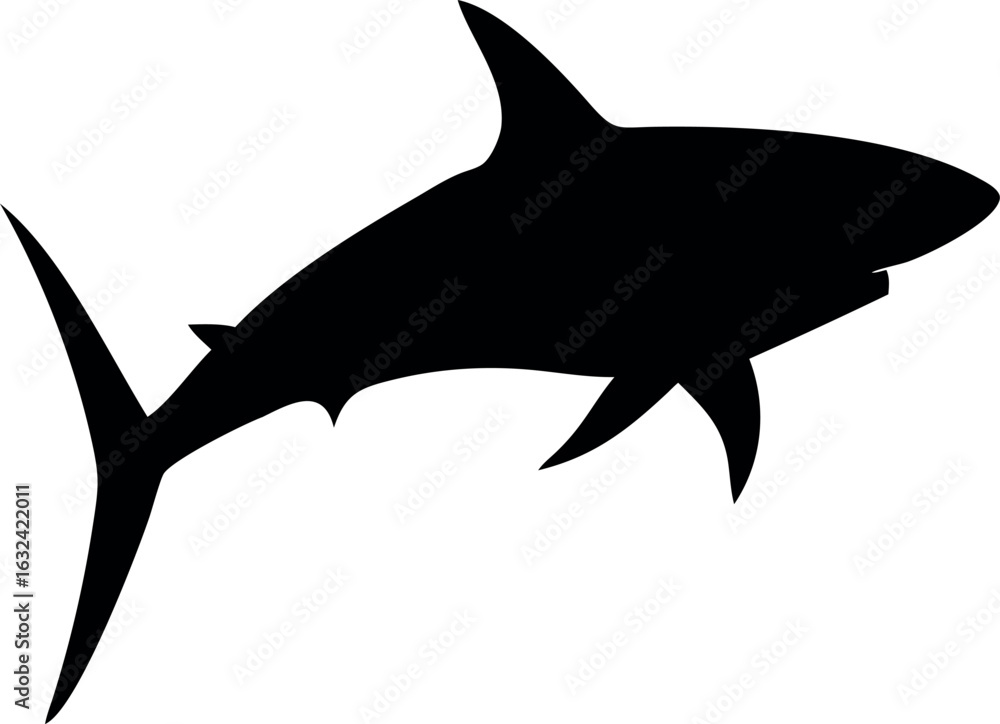 Fototapeta premium Aggressive shark illustration with sharp teeth and fins