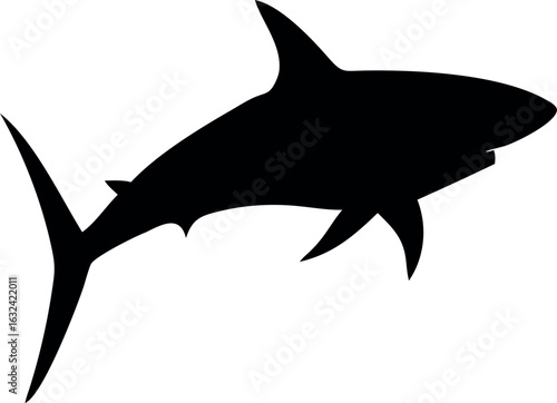 Aggressive shark illustration with sharp teeth and fins