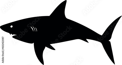 Aggressive shark illustration with sharp teeth and fins