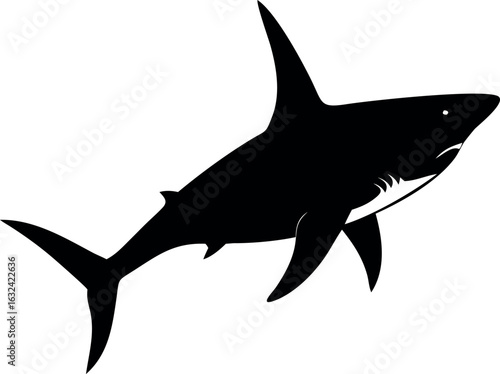 Aggressive shark illustration with sharp teeth and fins
