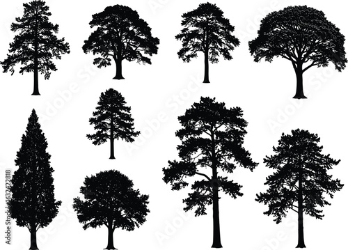 Set of isolated tree silhouettes, black vector trees, forest elements, natural shapes, botanical illustrations, landscape design resources, leafy tree collection