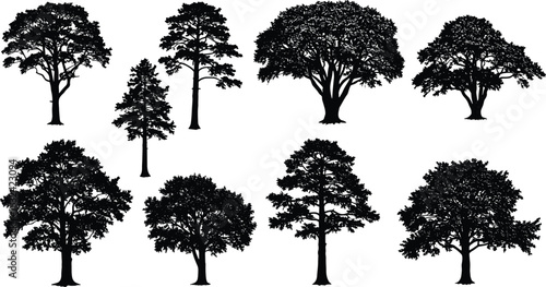 Set of Tree Silhouettes, Isolated Vector Tree Shapes, Natural Forest Elements, Black Tree Graphics, Botanical Clipart for Landscape Design